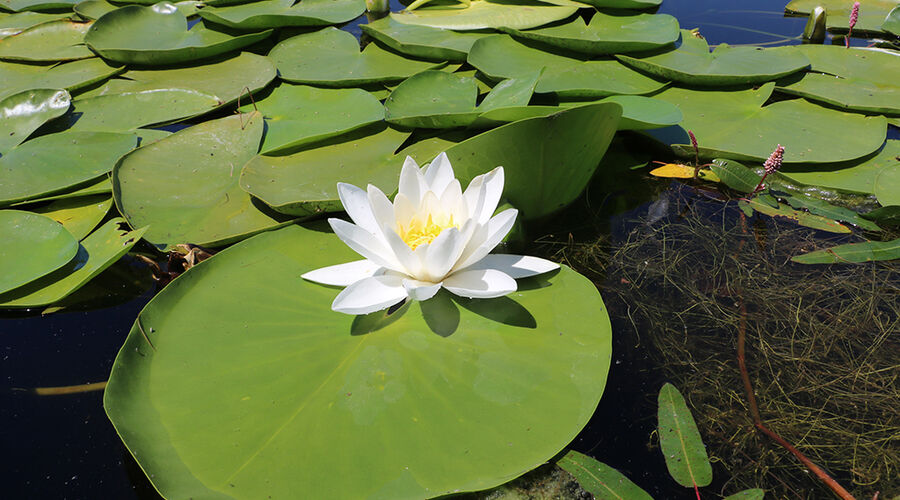 IŞIKLIGÖL-KAKLIK MAĞARASI-PAMUKKALE TURU