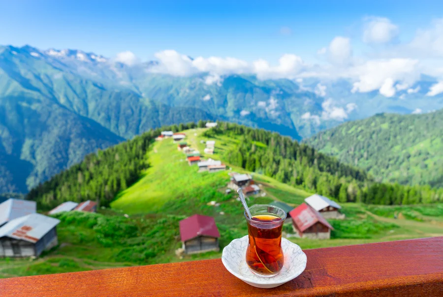 UÇAKLI ELİT KARADENİZ YAYLALARI TURU 4 GECE 5 GÜN